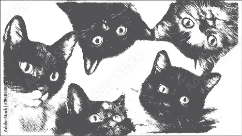 Set of cat portraits featuring black kittens. Monochrome vector illustration with unique expressions and stylized heads.