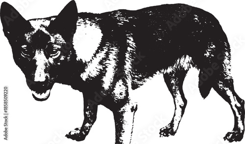 Dog silhouette in black and white color. A simple vector illustration showcasing the animal's detailed design in a set format.