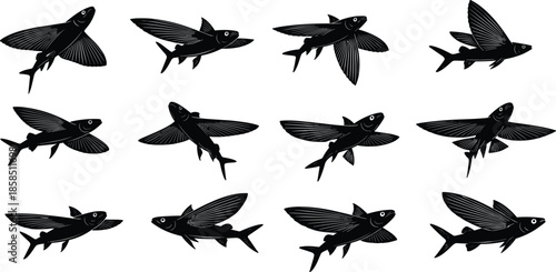 Flying fish silhouettes collection, marine wildlife vector icons, ocean animal illustrations, black aquatic nature elements, isolated exotic sea creatures, gliding fish designs,