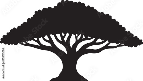 Black silhouette of a mature tree with broad canopy