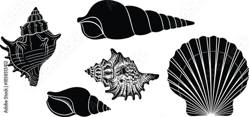 Sea shell silhouettes set, marine mollusk vector icons, beach nature illustrations, black ocean shell elements, isolated aquatic life shapes, decorative coastal designs,