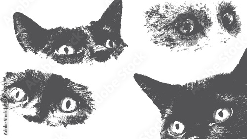 Cat eyes in a black and white sketch style. This detailed vector illustration showcases natural wildlife features in a visually striking set.