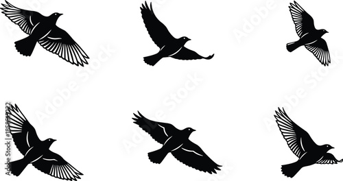 Flat vector illustration set of birds flying in various poses for mascot logo and nature design