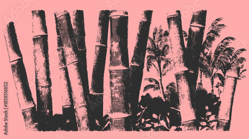 Bamboo and palm plants in a vintage vector illustration. Bright tropical graphic set with foliage for backgrounds or decorative designs.