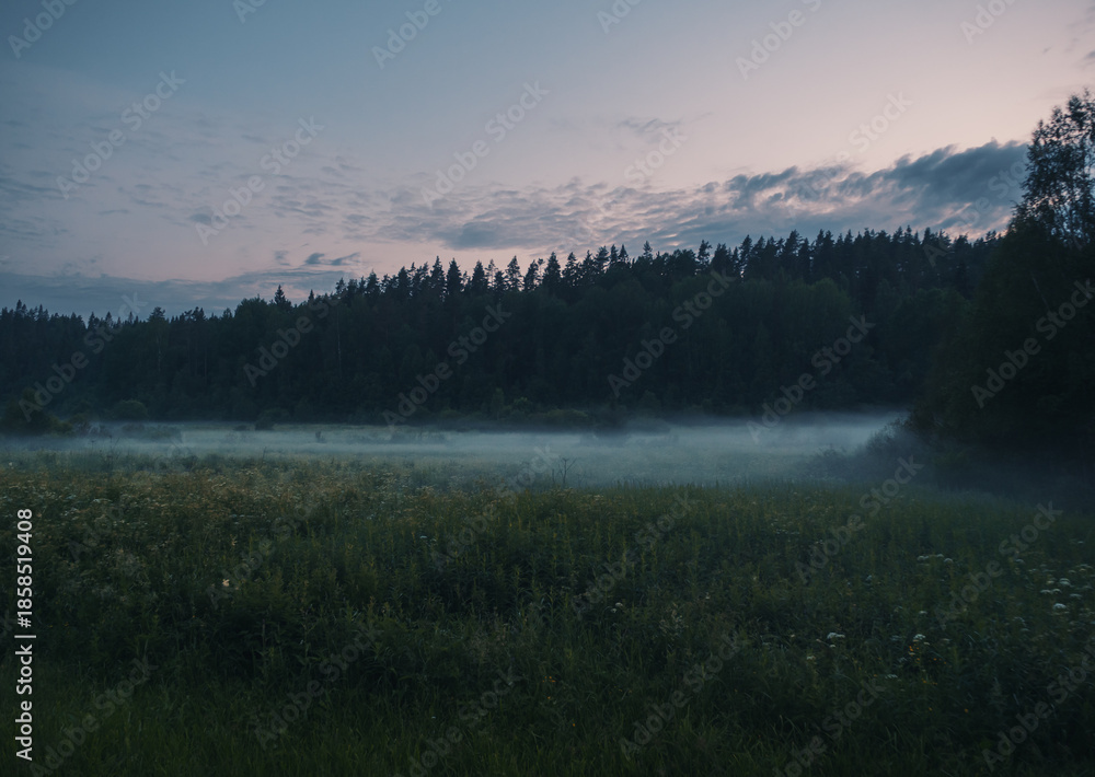 Fototapeta premium Fog drifts across a grassy meadow at daybreak.