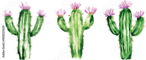 Watercolor Cactus with Pink Flowers vector illustration