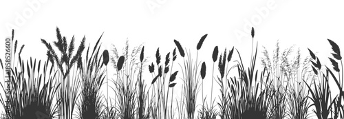  Swamp coastal plants.