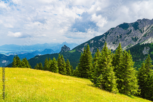 Blick vom Breitenberg bei Pfronten in die Alpen