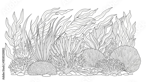 Underwater Seaweed and Coral Reef Line Art Illustration