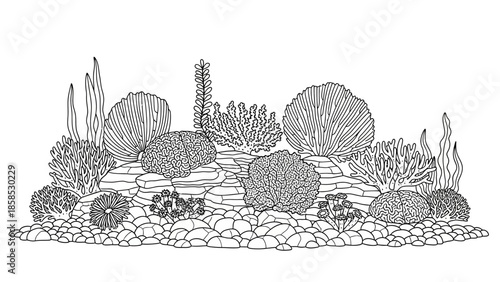 Line Art Aquarium Landscape with Coral Reef and Rocks