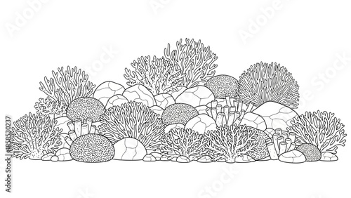 Coral Reef Line Drawing: Underwater Ecosystem Illustration