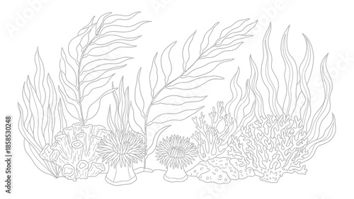 Undersea Landscape Outline: Coral Reef, Seaweed, and Anemones