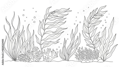 Underwater Scene with Seaweed, Coral, and Bubbles - Line Art