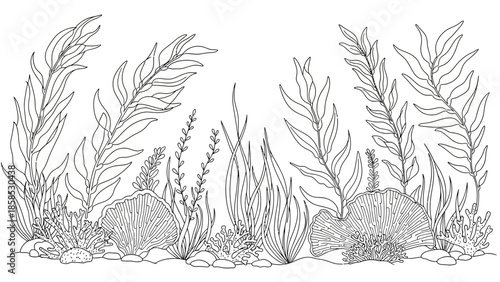 Underwater Seaweed and Coral Reef Line Drawing
