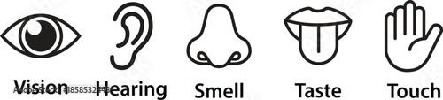 Five Human Senses Vector Icon Set -  Vision Hearing Smell Taste and Touch Outline Symbols for Education and Anatomy