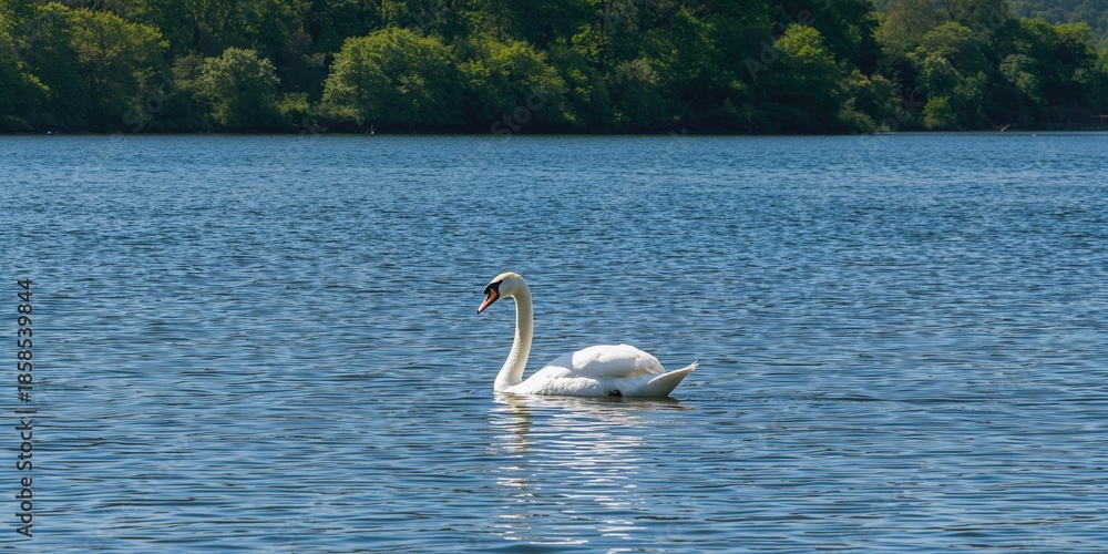 Fototapeta premium Serene lake scene featuring a graceful swan, clear blue water, and lush green trees, ideal for nature backgrounds