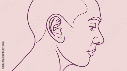 Line art illustration of a human ear and profile minimalist medical or anatomical drawing for healthcare concepts isolated on soft pink background