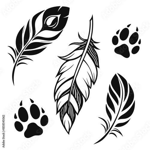 Feathers and paw prints silhouettes