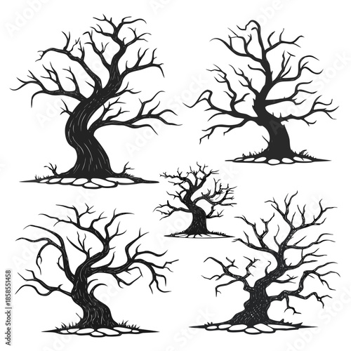 Collection of bare trees