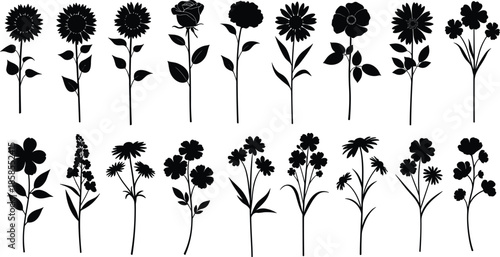 Flower silhouette vector illustration, floral design art, botanical garden element, decorative blossom graphic, nature plant symbol, diverse petal arrangement, artistic flower collection