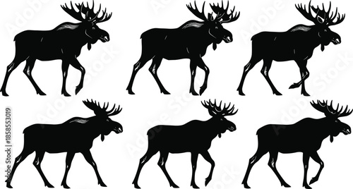 Moose silhouette vector illustration, wildlife animal artwork collection, antlered creature design elements, forest nature graphics, black and white walking figure set