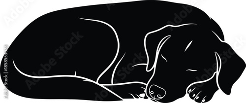 A sleeping dachshund illustration a curled up dog in a simple black and white design