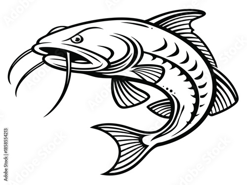 Black and White Line Art Catfish with Whiskers Jumping leaping water