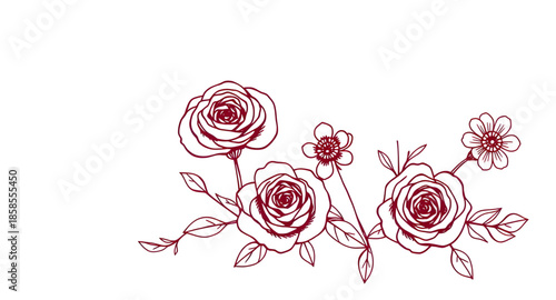 minimal rose art, floral contour poster, continuous line flower, botanical rose page, drawing of rose bloom, flower contour graphics, stylized botanical rose, single rose botanical sketch, delicate pe