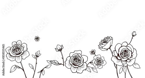 minimal rose art, floral contour poster, continuous line flower, botanical rose page, drawing of rose bloom, flower contour graphics, stylized botanical rose, single rose botanical sketch, delicate pe