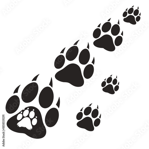 Animal paw prints