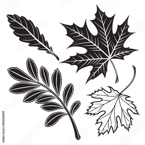 Collection of diverse leaf silhouettes
