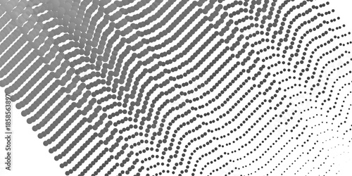 Monochrome background. Abstract waves of gray dots on a light gray background. Abstract dotted vector background. Halftone effect. Black dots on white background. following the transition to less .