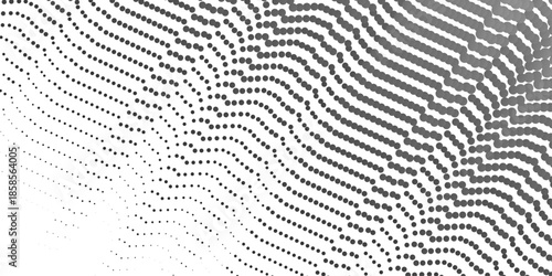 Monochrome background. Abstract waves of gray dots on a light gray background. Abstract dotted vector background. Halftone effect. Black dots on white background. following the transition to less .