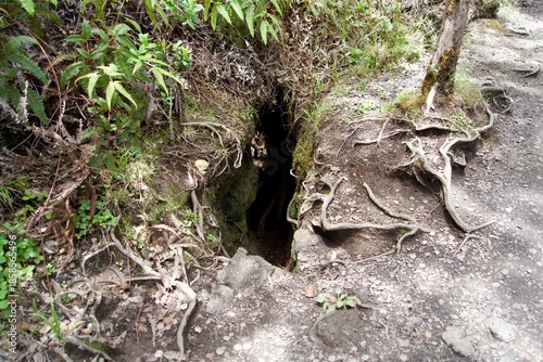 A hole on the Kilauea Volcano trekking course