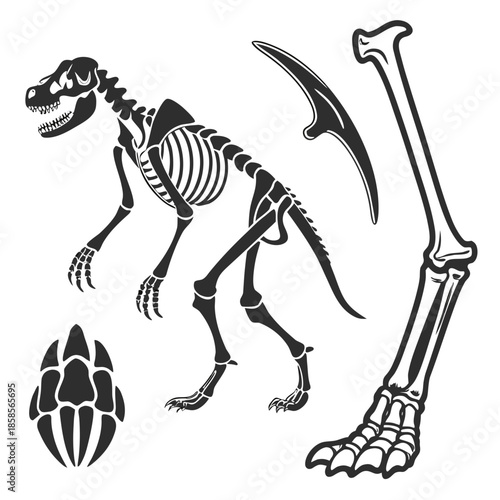 Dinosaur skeleton illustration