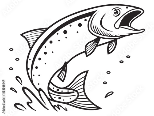Leaping Trout Fish Illustration in Black and White Outline Style jumping water