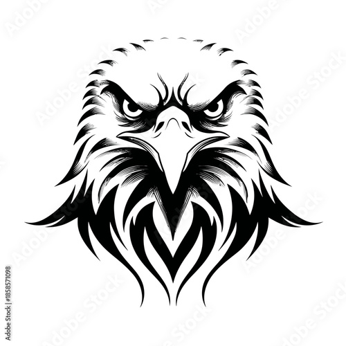Bold eagle head vector illustration focused intense gaze in black and white