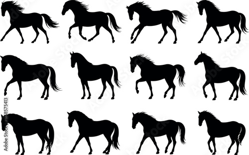 A professional photographer uses high-end camera equipment to capture stunning high-resolution portraits for a premium digital stock photo collection