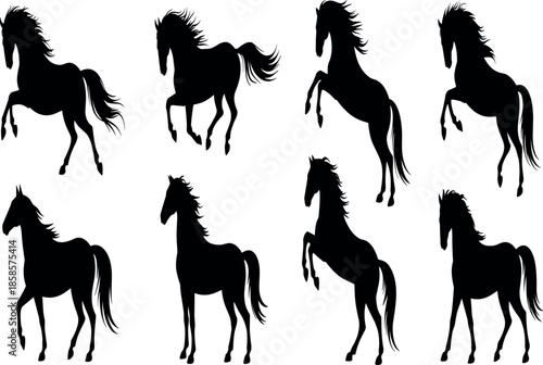 A professional photographer uses high-end camera equipment to capture stunning high-resolution portraits for a premium digital stock photo collection