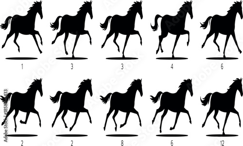 A professional photographer uses high-end camera equipment to capture stunning high-resolution portraits for a premium digital stock photo collection