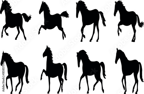 A professional photographer uses high-end camera equipment to capture stunning high-resolution portraits for a premium digital stock photo collection