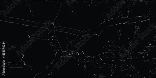 Abstract monochrome organic network pattern with interconnected lines and nodes on a dark background, suggesting cellular structures or microscopic organisms, ideal for science and biology themes