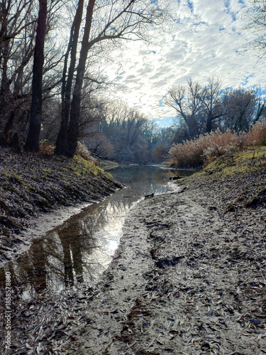 Winter creek mud reflection light