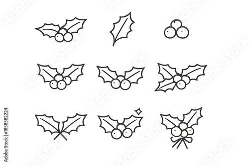 Christmas Holly Icons Set