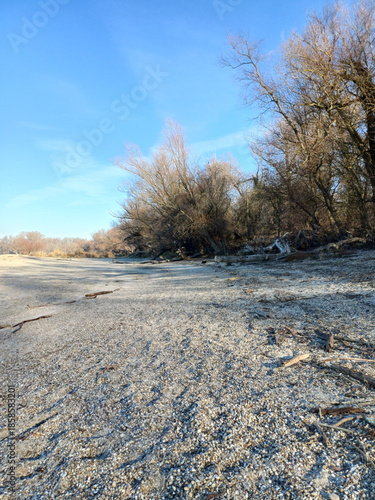 Silent forest creek winter reflection