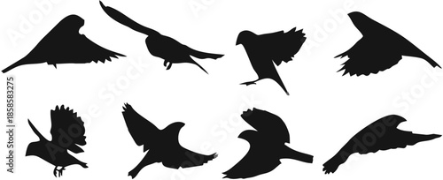 Set of sparrow silhouettes.eps
