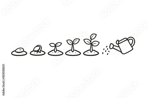 Plant growth stages from seed to seedling with watering can