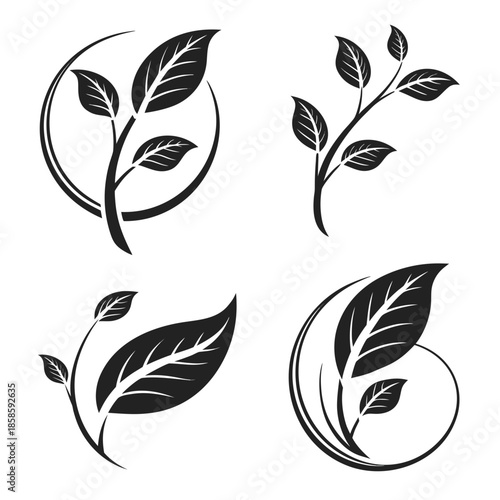 Black and white leaf silhouettes