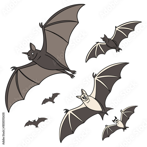 Flying bats illustration