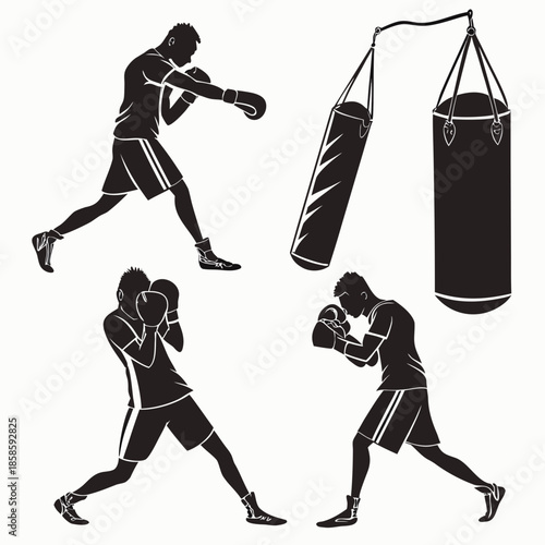 Boxer training with punching bag